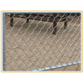 School Protecting Chain Link Fence